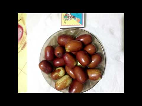 зизифус унабы китайский финик  ВСЯ ПРАВДА О ЛЕЧЕНИИ   -гипертония и не только- часть 1