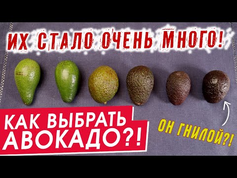 How to Choose an Avocado | FULL TEST | Avocado Varieties