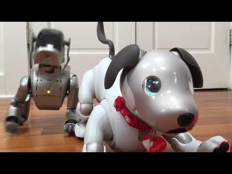 Old Aibo vs New Aibo: ERS-110 and ERS-1000