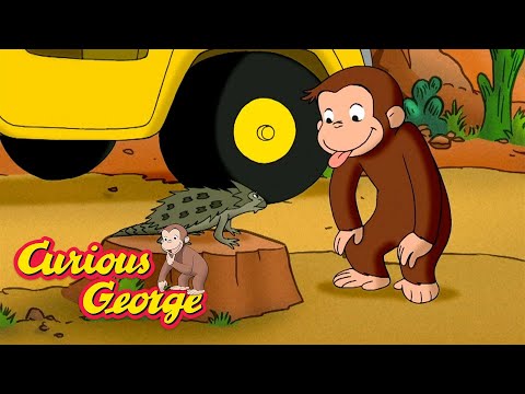 The Desert Is Full of Life! π΅ Curious George π΅ Kids Cartoon π΅ Kids Movies