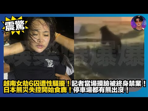 【震驚】越南女劫6囚遭性騷擾｜記者當場摸臉被終身禁業｜日本熊災失控開始食鹿｜停車場都有熊出沒｜娛樂爆爆爆