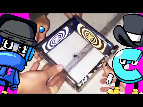 We React to the Most Unusual Memes Online!