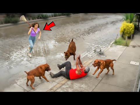 Real Life Superheroes Caught Saving People...