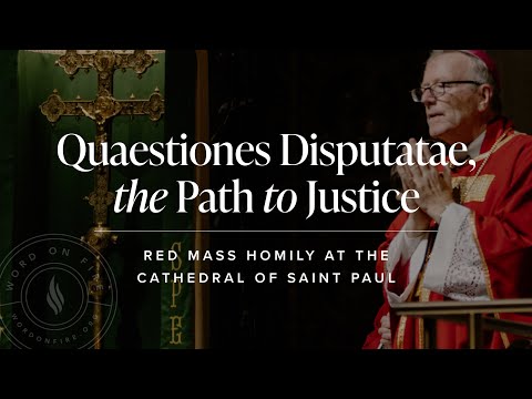Dialogue is in Danger: 2025 Red Mass Homily