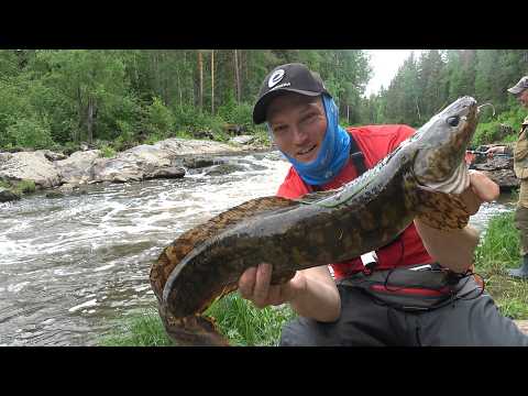 ЗАЦЕПЫ ОЖИВАЮТ! НО НЕ ПОДНЯТЬ! ВСЁ ДНО В РЫБЕ! Рыбалка у водопада ЧАСТЬ 2 Тайга, уха, рыбалка, отдых
