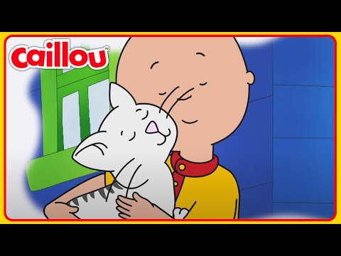 Caillou und die Katze | Caillou Klassiker