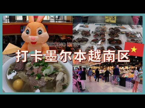 墨尔本越南区Springvale一日游🇻🇳墨尔本必吃网红越南粉店☕️打卡远大海鲜水果中心🦞墨尔本也可以买到活鱼😱大开眼界的越南区之旅～～✮佩奇的日记✮VLOG 57