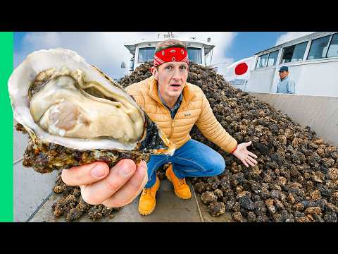 The One Japanese Food You Can’t Eat Raw!!