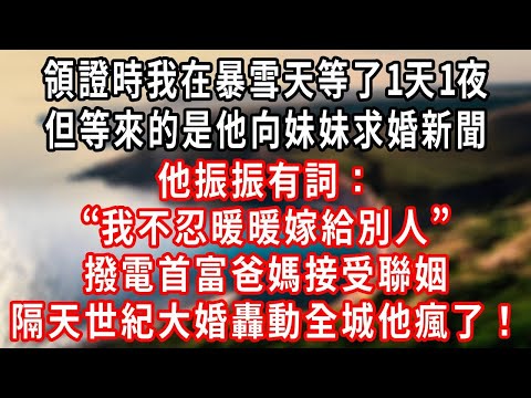 領證時我在暴雪天等了6小時，等來的卻是他向妹妹求婚，朋友勸他坦白別誤了雨婷，他振振有詞「我不忍暖暖嫁給別人」撥電首富爸媽接受聯姻，隔天世紀大婚轟動全城他瘋了！