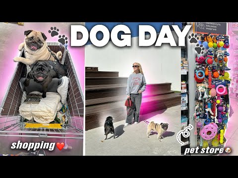 DOG DAY VLOG!🐾 24 часа ВМЕСТЕ! Прогулка, Зоомагазин и ПЕРВЫЙ ШОПППИНГ в Лента С СОБАКАМИ!🐶