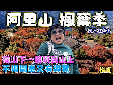 【阿里山楓葉季 】一路從山下玩到山上 聰明旅遊又有導覽 二延平步道 奮起湖 阿里山神木車站 祝山觀日出