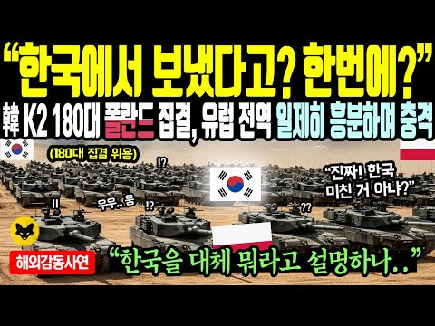 《해외감동사연》한국에서 보냈다고 한번에 한국 K2 180대 폴란드 집결하자 유럽 전역 일제히 흥분하며 충격받은 이유