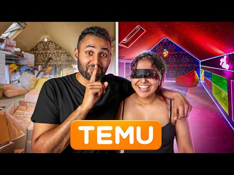 I built my sister's DREAM DEN with only TEMU products