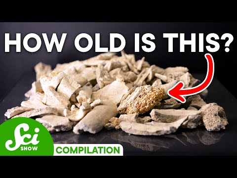How We Learn About Ancient History Using Carbon | Carbon Dating Compilation