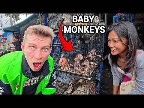 Inside an ILLEGAL Exotic Animal Market in Jakarta (Shocking!) 🇮🇩