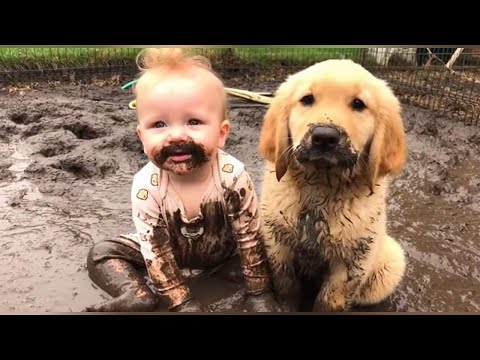 PURE CHAOS! 😂 Funny Pet vs Baby Moments That Went Too Far