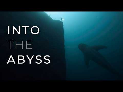 100+ Terrifying Things Found in the Deep Sea - Ocean Mysteries for Sleep