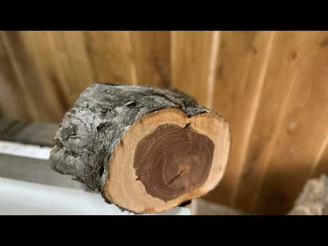 Natural Edge Apple Crotch Bowl | Woodturning