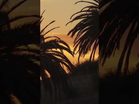 Where’s your favorite spot to watch the sunset?