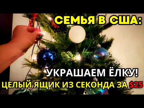 Family in the USA: Decorating the Christmas Tree 🎄 Thrift Store Box for $25 | Holiday Vlog