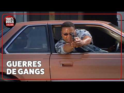 Gang contre témoin aux USA : l'empire de la mafia brisé