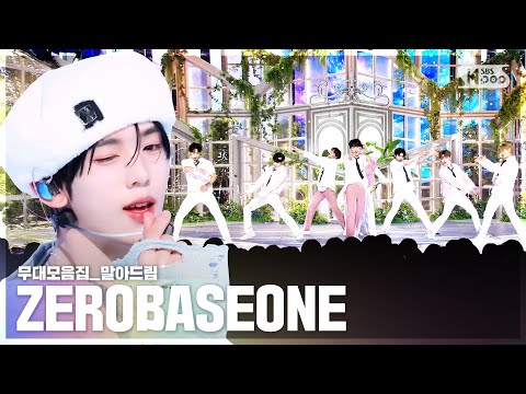 [4K] 제로베이스원(ZEROBASEONE) 무대 말아드림 | In Bloom 부터 BLUE 까지