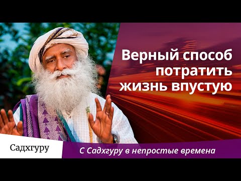 Верный способ потратить жизнь впустую