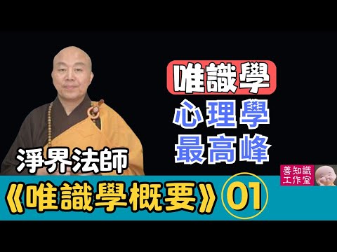淨界法師：心理學的最高峰！ | 《唯識學》 01~02