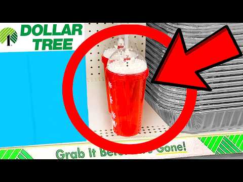 10 Things You SHOULD Be Buying at Dollar Tree in December 2025