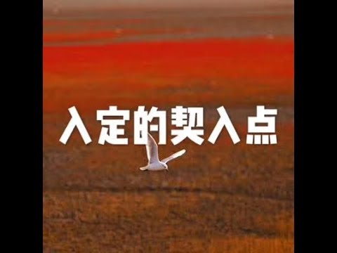 201703 入定的契入点22237