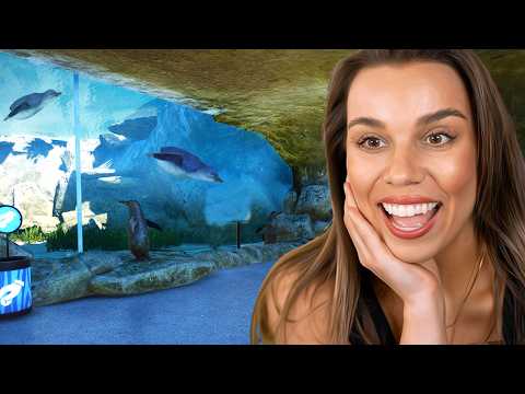 Building an underwater zoo!