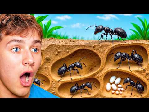 ONE HOUR Of Watching Ant Colony Simulations!