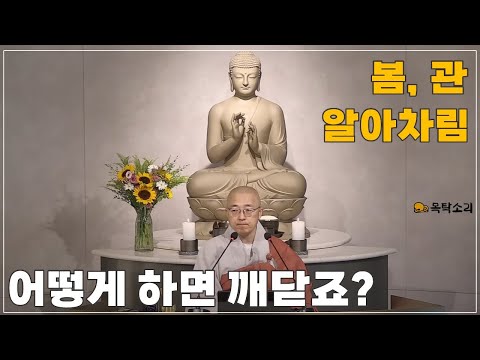 [돈오115] 어떻게 하면 깨달을 수 있나요? 봄, 알아차림, 관!