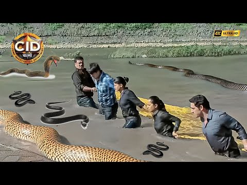 সিআইডি টিম সাপে ভরা সমুদ্রে আটকা পড়েছে | CID | সিআইডি 2025 #cidbangla #dayacid #cidindanger