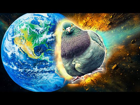 I Shot a Really Fat Pigeon at the Earth and this happened...