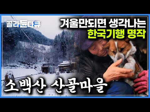 눈 내린 소백산 오지 한 가운데서 겨울을 보내는 할머니와 동물들의 이야기｜한국기행｜#골라듄다큐
