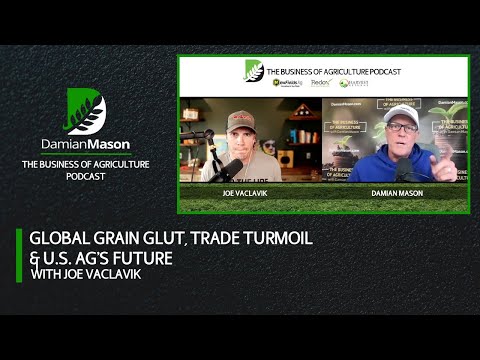 Global Grain Glut, Trade Turmoil & U.S. Ag’s Future | Damian Mason Podcast