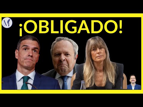 Lo que reveló el exvicerrector de la UCM sobre la cátedra de Begoña Gómez en el Senado