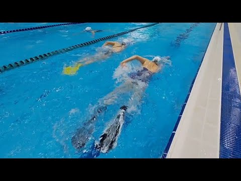 자유형드릴🏊‍♀️ #수영 #자유형 #드릴 #연습방법 #swim 