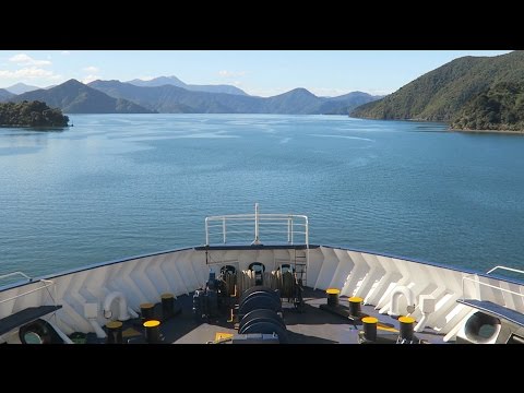 Cook Strait Ferry | Picton to Wellington, NZ