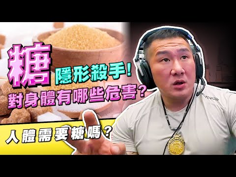 【館長精華】要減肥先戒糖！糖對身體有那些危害？人體需要糖嗎？