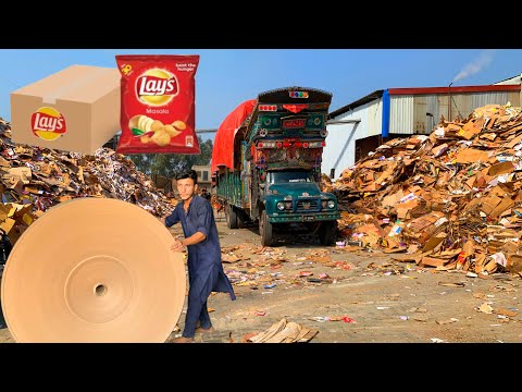How They Recycle Tons of Waste Material to Make Massive Cardboard | They Save Trees 🌴