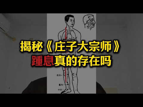 庄子大宗师中的“踵息”真的存在吗？为啥死人解剖找不到经络？原来还可以呼吸到手掌？现实中真有人修到“踵息”吗？#站桩#庄子大宗师#踵息#真人呼吸