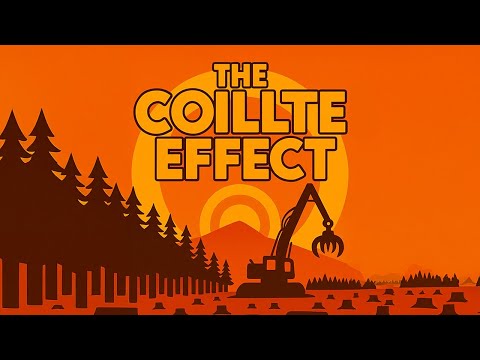 Irish Forestry Scandal 