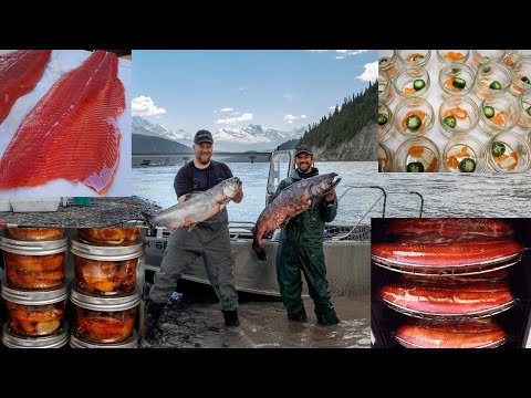 The Best Salmon In The World