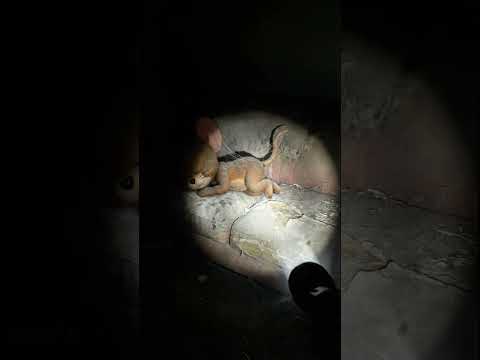 Does anyone still remember them? | #shorts #youtubeshorts #ai