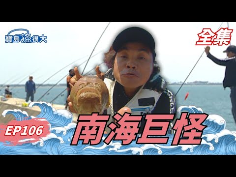 安平南堤驚見謎樣生物！真有這種魚？！| 寶島漁很大 | 全集