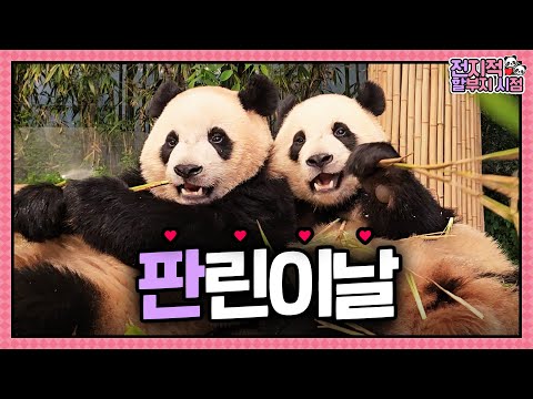 [Omniscient Grandpa View] ep.217 Today is Children's Day💗'Pan-children' Rui and Hui Having Fun