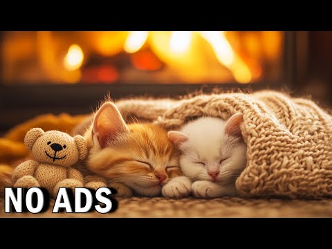 Sleeping Music for Cats 🐾 Soothing Sounds for Deep Relaxation & Keep Your Kitty Happy