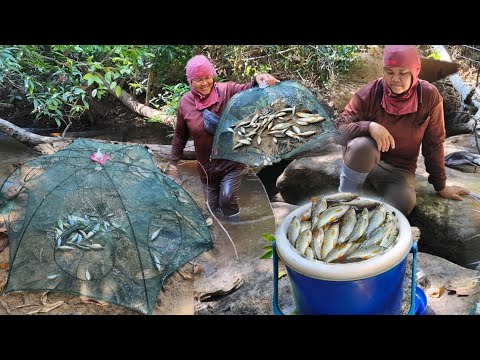 Setting up these fish traps at any fishing spot never disappoints. This bait formula works wonder...